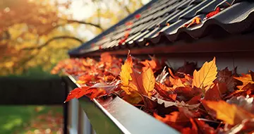 mobile205 gutter cleaning seven sisters n15 (1)